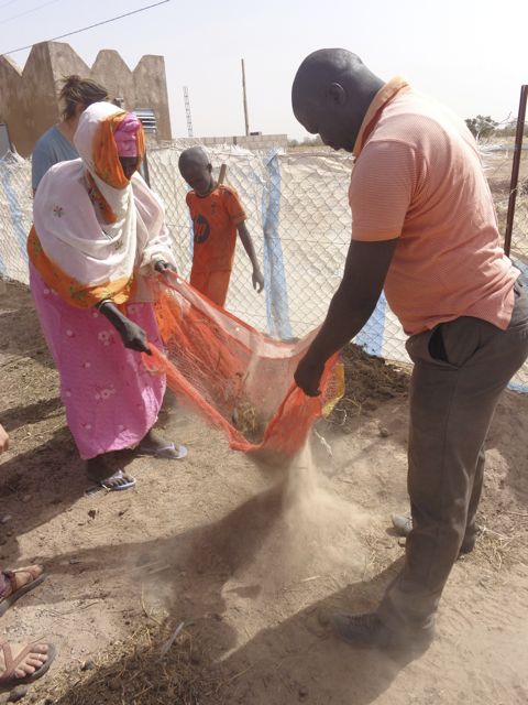 Ndiama and Tapha sifting manure and sand to stuff tree sacks